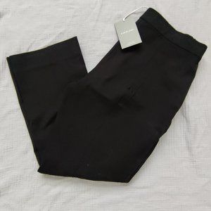 NWT Everlane Kick Crop Work Pant